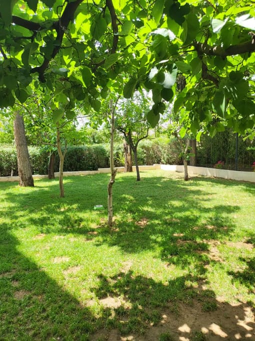 سعادت آباد کوهستان 